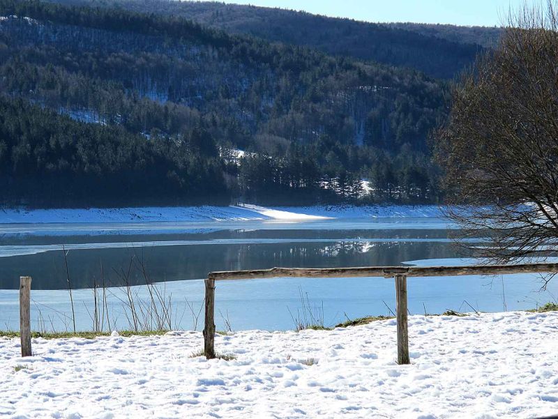 arvo lake.jpg